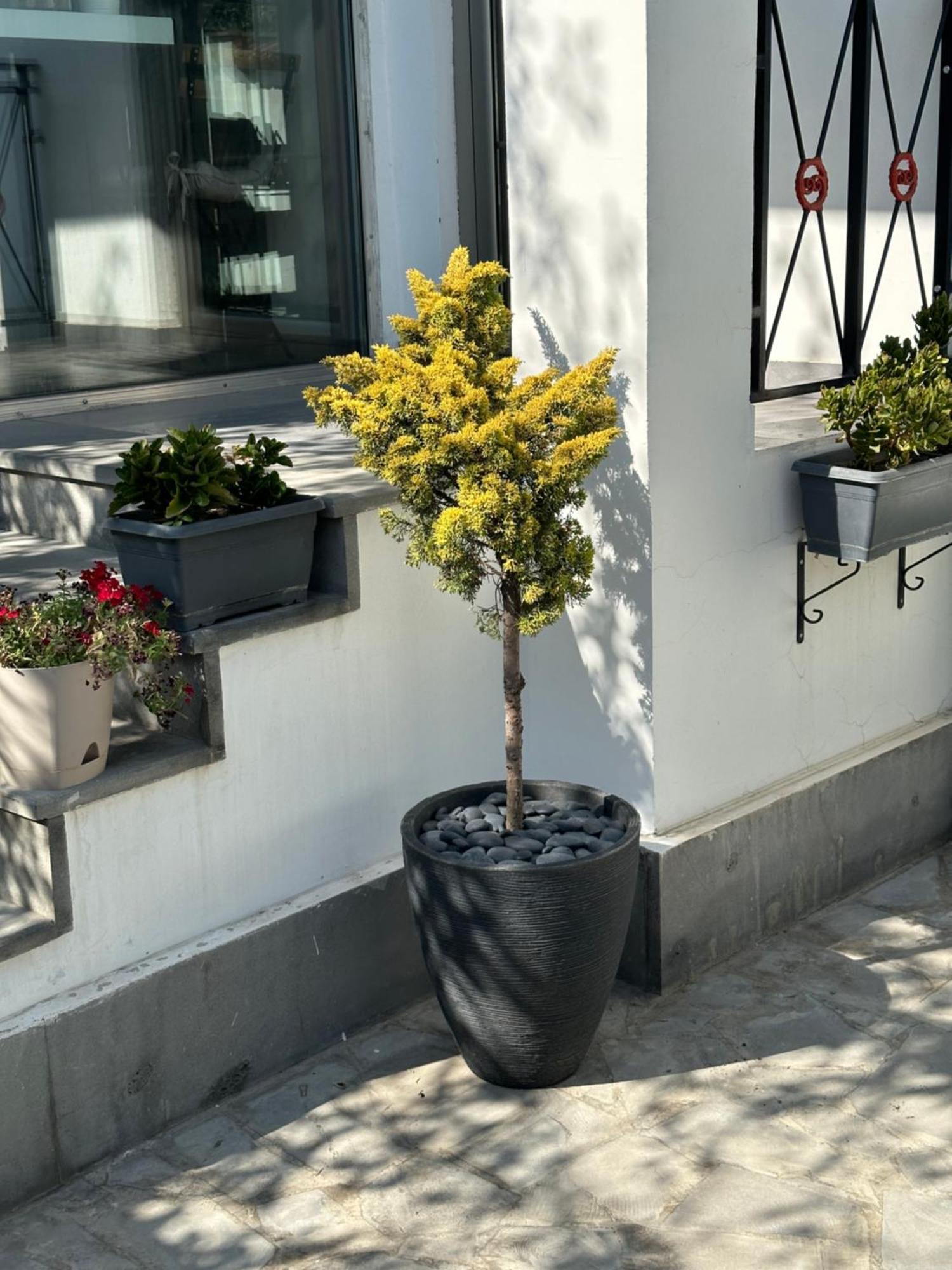 Garden Lounge Hotel Ереван Екстериор снимка